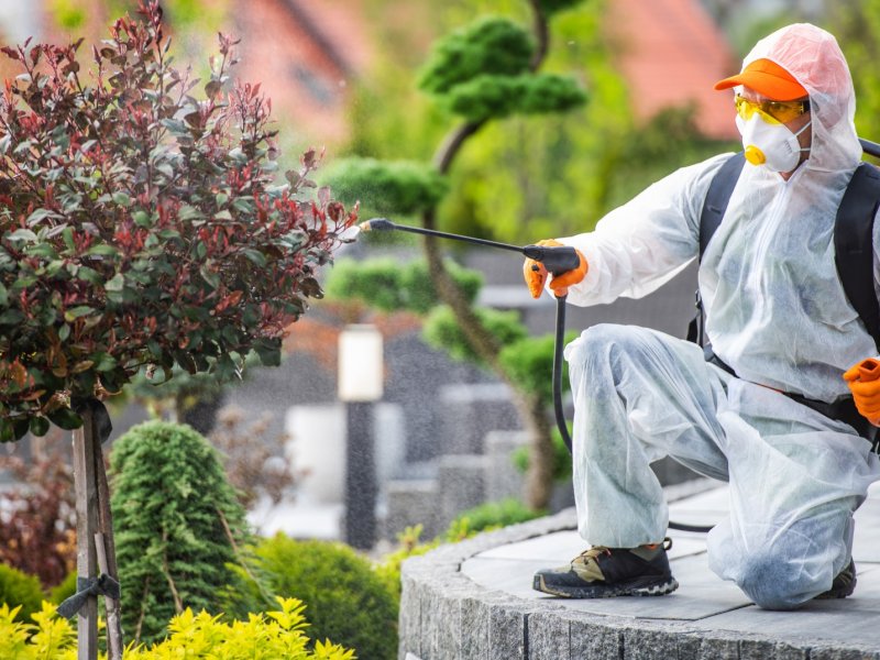 Zeytinalanı Haşere İlaçlama