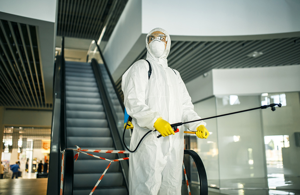 Zeytinalanı Haşere İlaçlama